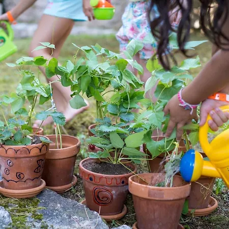 Hotel Maistra Select Island Istra