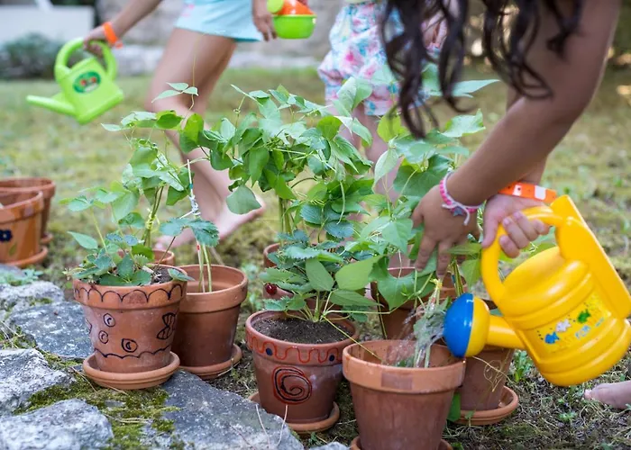 Отель Maistra Select Island Istra